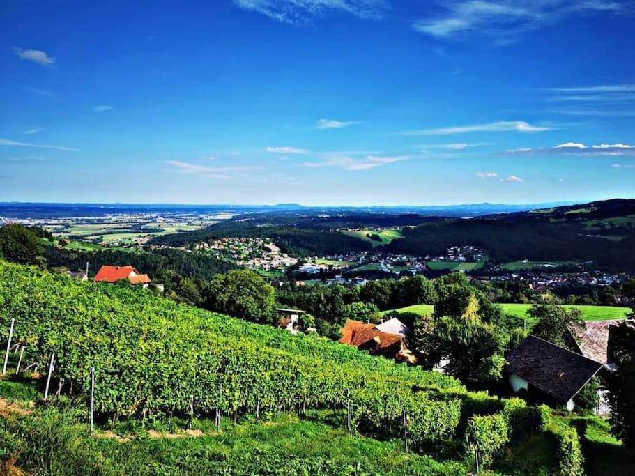 Wiednermichl - Urlaub In Den Weinbergen Krottendorf bei Ligist 외부 사진